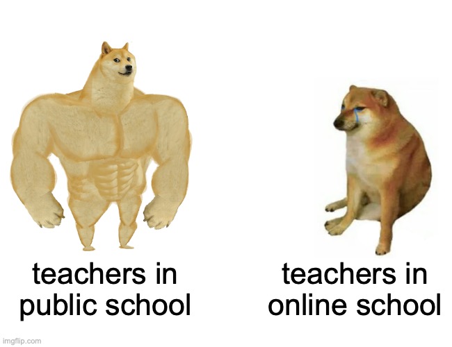 Buff Doge vs. Cheems Meme | teachers in public school; teachers in online school | image tagged in memes,buff doge vs cheems | made w/ Imgflip meme maker