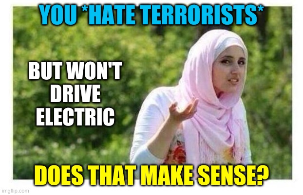 Confused Muslim Girl | YOU *HATE TERRORISTS*; BUT WON'T
DRIVE
ELECTRIC; DOES THAT MAKE SENSE? | image tagged in confused muslim girl,electric cars,renewable energy,oil war,politics,common sense | made w/ Imgflip meme maker