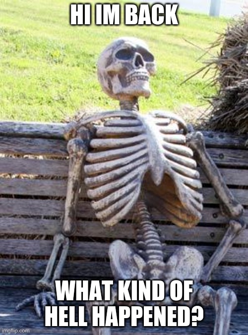 Waiting Skeleton Meme | HI IM BACK; WHAT KIND OF HELL HAPPENED? | image tagged in memes,waiting skeleton | made w/ Imgflip meme maker