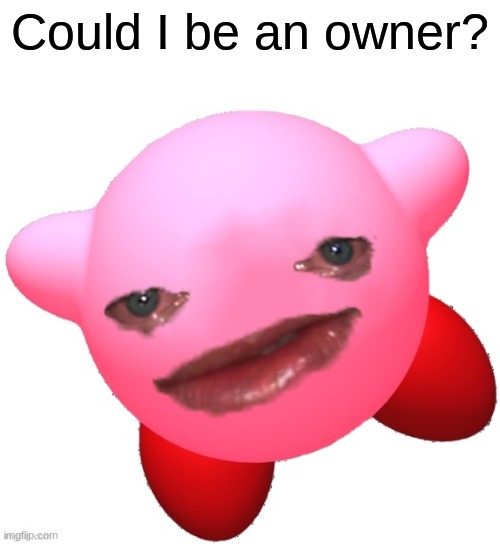 Just wondering. | Could I be an owner? | image tagged in sad kirby | made w/ Imgflip meme maker