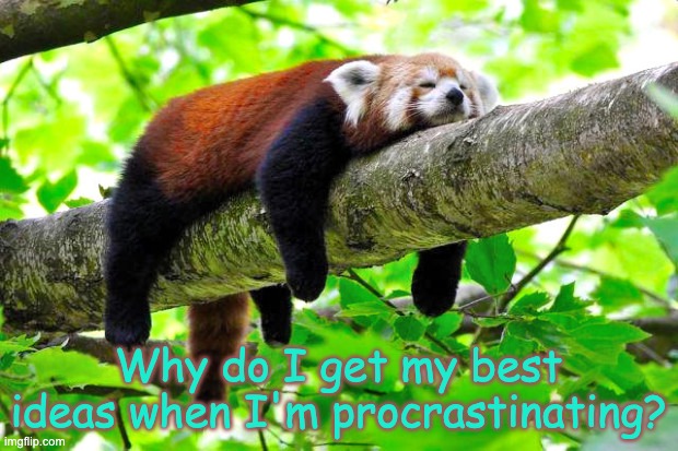 This is, yet at the same time is pretty bad for school | Why do I get my best ideas when I'm procrastinating? | image tagged in procrastination | made w/ Imgflip meme maker