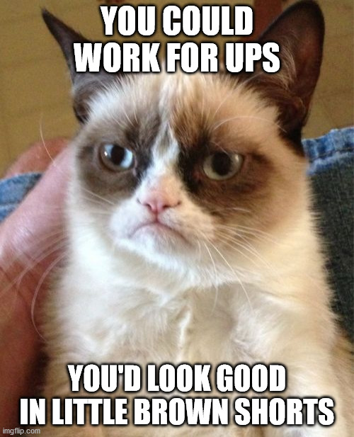 Grumpy Cat | YOU COULD WORK FOR UPS; YOU'D LOOK GOOD IN LITTLE BROWN SHORTS | image tagged in memes,grumpy cat | made w/ Imgflip meme maker