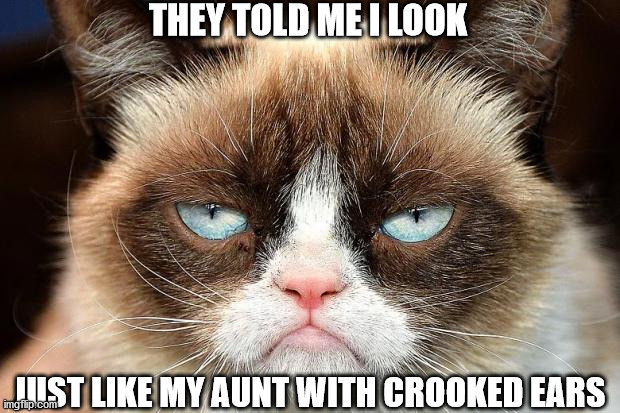 Grumpy Cat Not Amused | THEY TOLD ME I LOOK; JUST LIKE MY AUNT WITH CROOKED EARS | image tagged in memes,grumpy cat not amused,grumpy cat | made w/ Imgflip meme maker