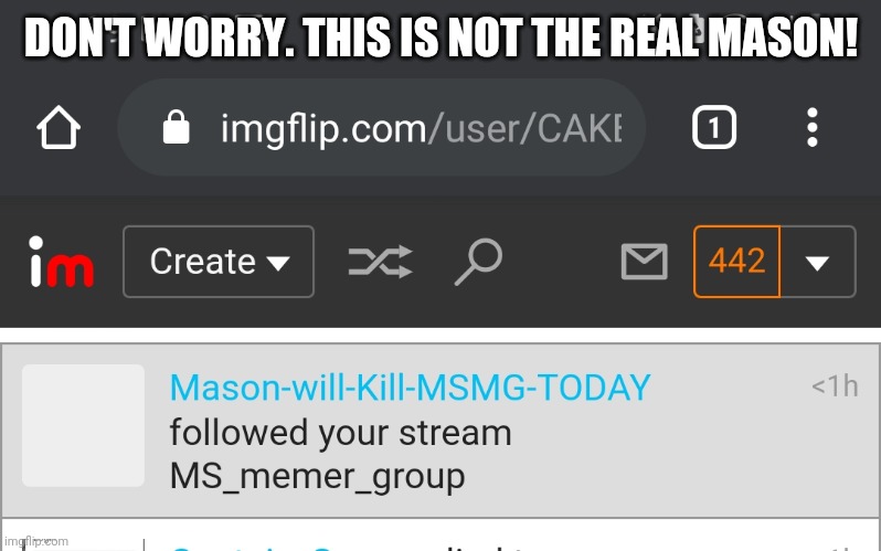 DON'T WORRY. THIS IS NOT THE REAL MASON! | made w/ Imgflip meme maker