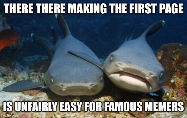 empathetic shark | THERE THERE MAKING THE FIRST PAGE IS UNFAIRLY EASY FOR FAMOUS MEMERS | image tagged in empathetic shark | made w/ Imgflip meme maker
