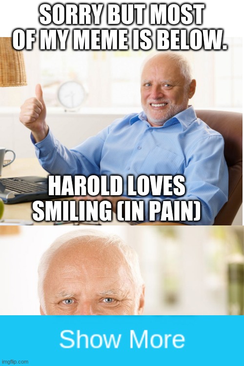 Sorry for the problem |  SORRY BUT MOST OF MY MEME IS BELOW. HAROLD LOVES SMILING (IN PAIN) | image tagged in blank white template,memes | made w/ Imgflip meme maker
