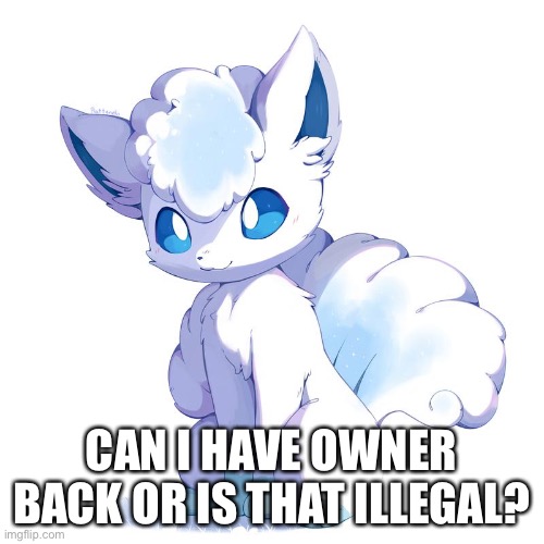 This picture of Vulpix I found is so cute | CAN I HAVE OWNER BACK OR IS THAT ILLEGAL? | made w/ Imgflip meme maker