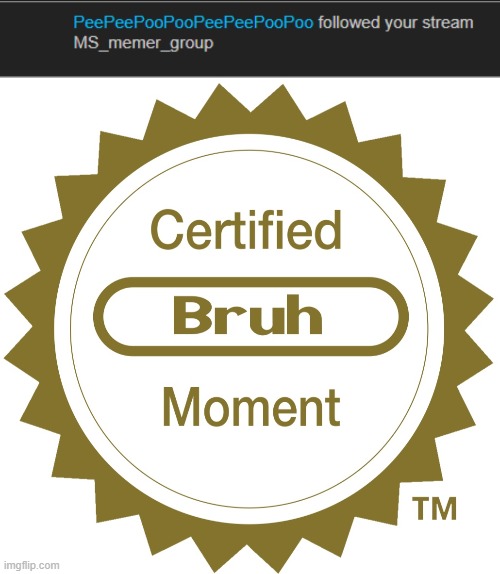 image tagged in certified bruh moment | made w/ Imgflip meme maker