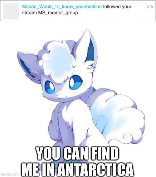 There, happy? You can come down here and freeze your butt off. | YOU CAN FIND ME IN ANTARCTICA | made w/ Imgflip meme maker