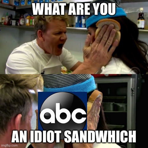 Gordon Ramsay Idiot Sandwich | WHAT ARE YOU AN IDIOT SANDWICH | image tagged in gordon ramsay idiot sandwich | made w/ Imgflip meme maker