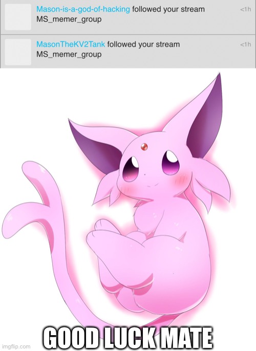 Trying to counter my tank alt with another tank alt | GOOD LUCK MATE | made w/ Imgflip meme maker