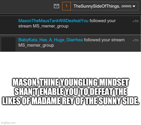 It would behoove you to act in a mature manor as opposed to this atrocious example. | MASON, THINE YOUNGLING MINDSET SHAN'T ENABLE YOU TO DEFEAT THE LIKES OF MADAME REY OF THE SUNNY SIDE. | image tagged in blank white template | made w/ Imgflip meme maker