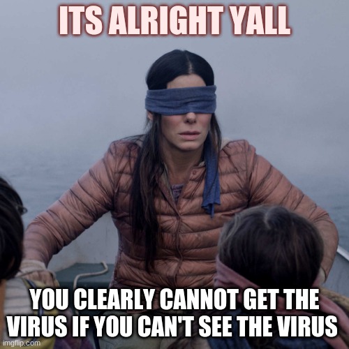 Bird Box Meme | ITS ALRIGHT YALL; YOU CLEARLY CANNOT GET THE VIRUS IF YOU CAN'T SEE THE VIRUS | image tagged in memes,bird box | made w/ Imgflip meme maker