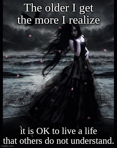 The older I get the more I realize; it is OK to live a life that others do not understand. | image tagged in inspirational | made w/ Imgflip meme maker