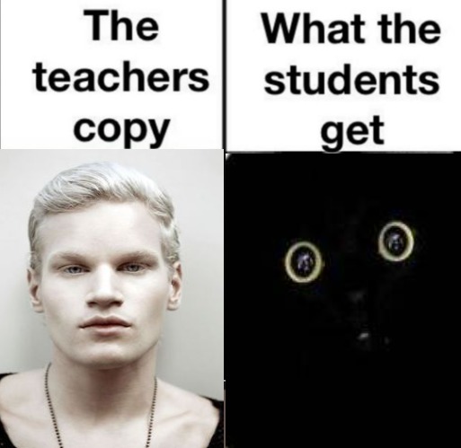 image tagged in cat | made w/ Imgflip meme maker