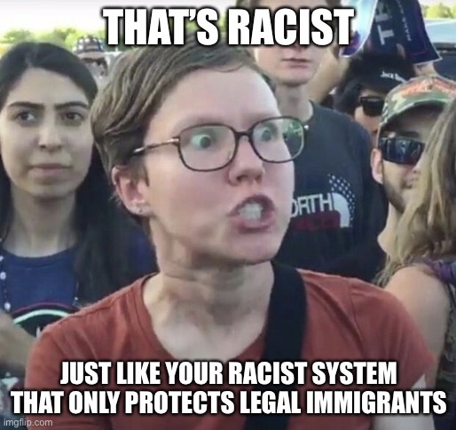 Triggered feminist | THAT’S RACIST JUST LIKE YOUR RACIST SYSTEM THAT ONLY PROTECTS LEGAL IMMIGRANTS | image tagged in triggered feminist | made w/ Imgflip meme maker