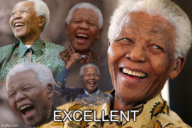 Mandela Laughing in Quarantine | EXCELLENT | image tagged in mandela laughing in quarantine | made w/ Imgflip meme maker