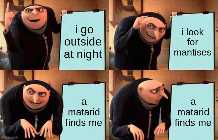 night is bad | i go outside at night; i look for mantises; a matarid finds me; a matarid finds me | image tagged in memes,gru's plan | made w/ Imgflip meme maker