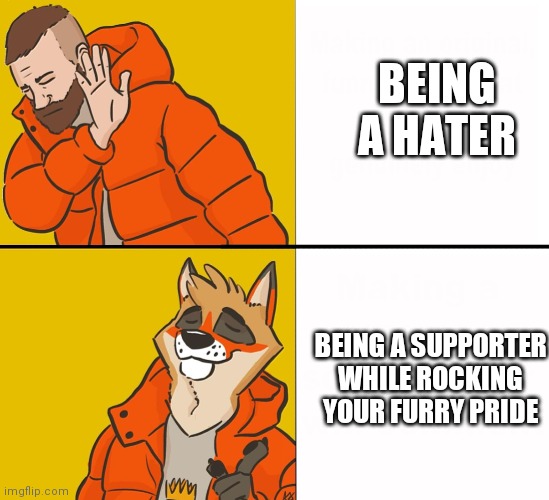 Furry pride and supporting | BEING A HATER; BEING A SUPPORTER WHILE ROCKING YOUR FURRY PRIDE | image tagged in furry drake | made w/ Imgflip meme maker