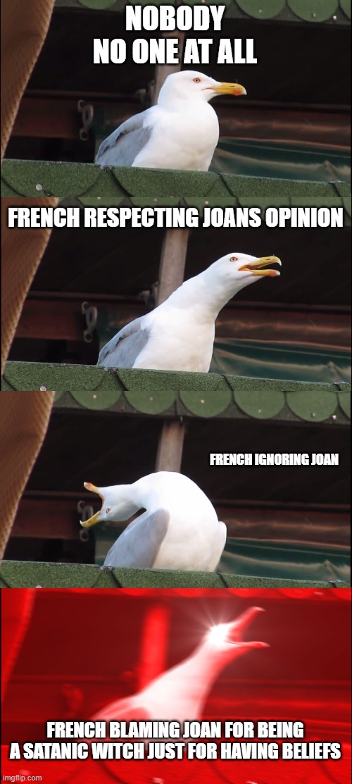 Inhaling Seagull Meme | NOBODY
NO ONE AT ALL; FRENCH RESPECTING JOANS OPINION; FRENCH IGNORING JOAN; FRENCH BLAMING JOAN FOR BEING A SATANIC WITCH JUST FOR HAVING BELIEFS | image tagged in memes,inhaling seagull | made w/ Imgflip meme maker