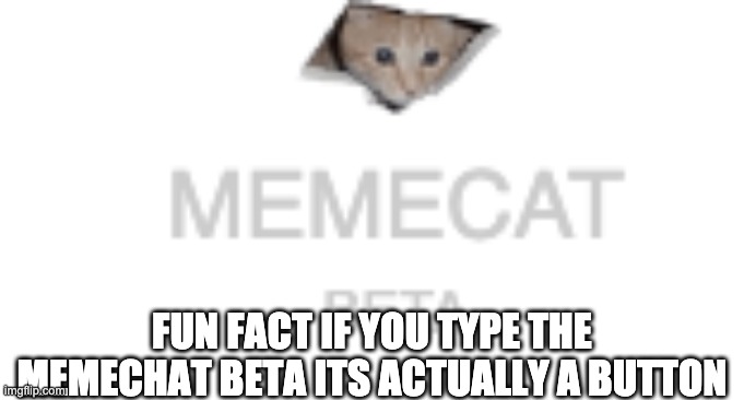 FUN FACT IF YOU TYPE THE MEMECHAT BETA ITS ACTUALLY A BUTTON | made w/ Imgflip meme maker