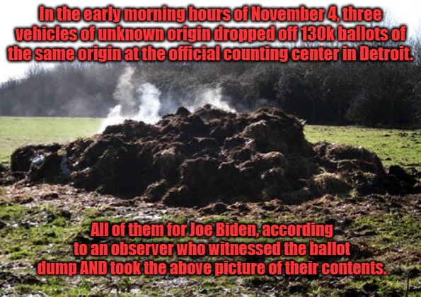 Steaming pile of shit | In the early morning hours of November 4, three vehicles of unknown origin dropped off 130k ballots of the same origin at the official counting center in Detroit. All of them for Joe Biden, according to an observer who witnessed the ballot dump AND took the above picture of their contents. | image tagged in steaming pile of shit | made w/ Imgflip meme maker