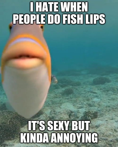 Fish With Lips Meme