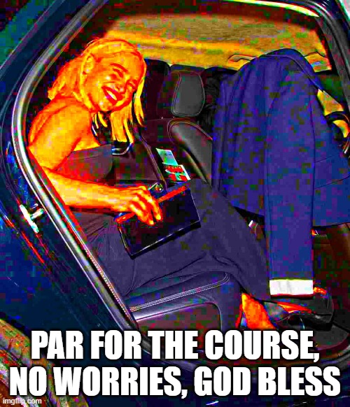Understandable have a nice day but woman | PAR FOR THE COURSE, NO WORRIES, GOD BLESS | image tagged in deep fried,meme parody | made w/ Imgflip meme maker