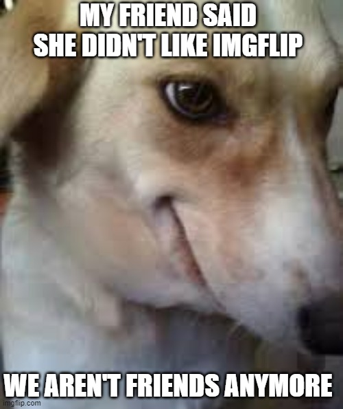 hell yeah- |  MY FRIEND SAID SHE DIDN'T LIKE IMGFLIP; WE AREN'T FRIENDS ANYMORE | image tagged in friends,imgflip,hell yeah | made w/ Imgflip meme maker