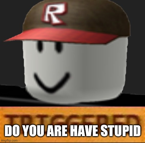 Roblox Triggered | DO YOU ARE HAVE STUPID | image tagged in roblox triggered | made w/ Imgflip meme maker