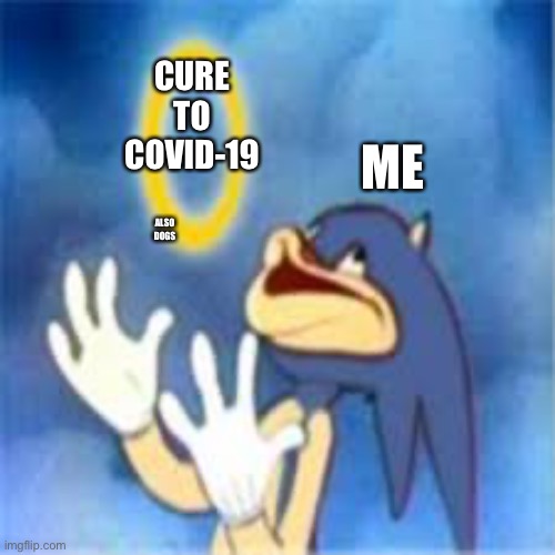 True do | CURE TO COVID-19; ME; ALSO DOGS | image tagged in depression sadness hurt pain anxiety | made w/ Imgflip meme maker