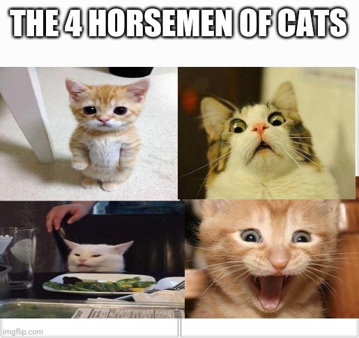 4 Horsemen | THE 4 HORSEMEN OF CATS | image tagged in 4 horsemen | made w/ Imgflip meme maker