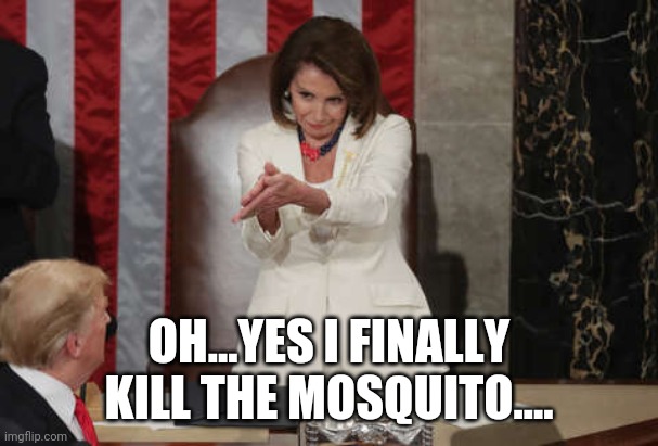 Nancy Pelosi clap | OH...YES I FINALLY KILL THE MOSQUITO.... | image tagged in nancy pelosi clap | made w/ Imgflip meme maker