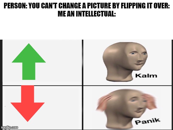 Your friendly neighborhood imgflip user proves idiots wrong | PERSON: YOU CAN'T CHANGE A PICTURE BY FLIPPING IT OVER:
ME AN INTELLECTUAL: | image tagged in meme | made w/ Imgflip meme maker