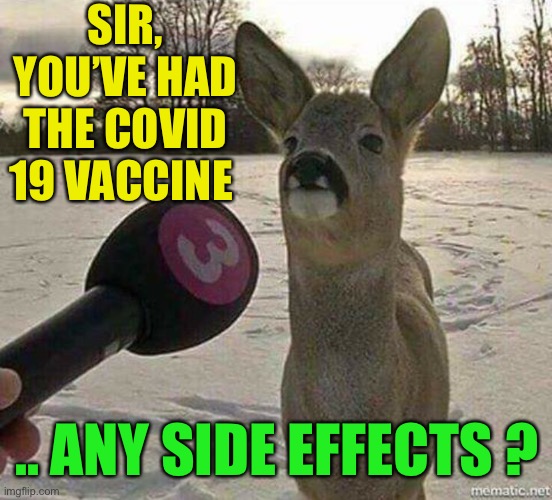 I just want a nice pair of tits ;-) | SIR, YOU’VE HAD THE COVID 19 VACCINE; .. ANY SIDE EFFECTS ? | image tagged in deer interviewed,covid19,vaccine,side effects,mutation,umbrella corp | made w/ Imgflip meme maker
