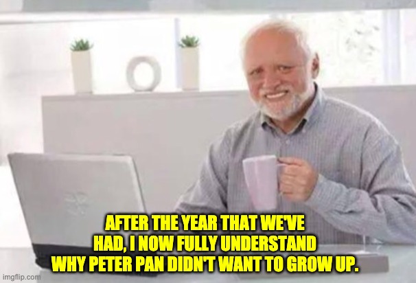 2020 | AFTER THE YEAR THAT WE'VE HAD, I NOW FULLY UNDERSTAND WHY PETER PAN DIDN'T WANT TO GROW UP. | image tagged in harold | made w/ Imgflip meme maker