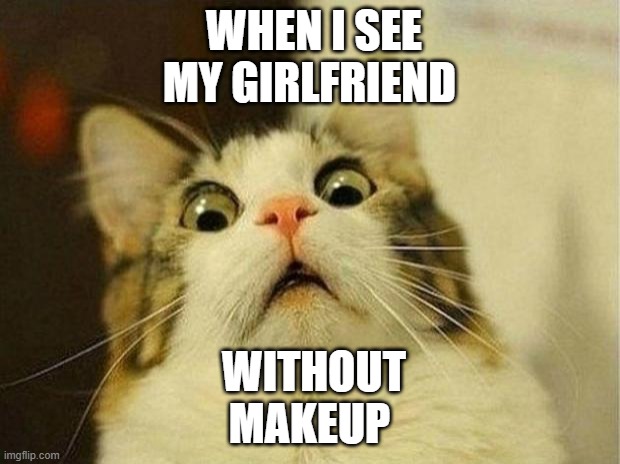 OMG | WHEN I SEE MY GIRLFRIEND; WITHOUT MAKEUP | image tagged in memes,scared cat | made w/ Imgflip meme maker