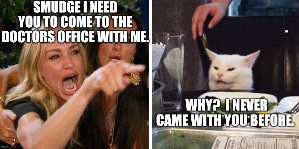 Smudge the cat | SMUDGE I NEED YOU TO COME TO THE DOCTORS OFFICE WITH ME. JM; WHY?  I NEVER CAME WITH YOU BEFORE. | image tagged in smudge the cat | made w/ Imgflip meme maker