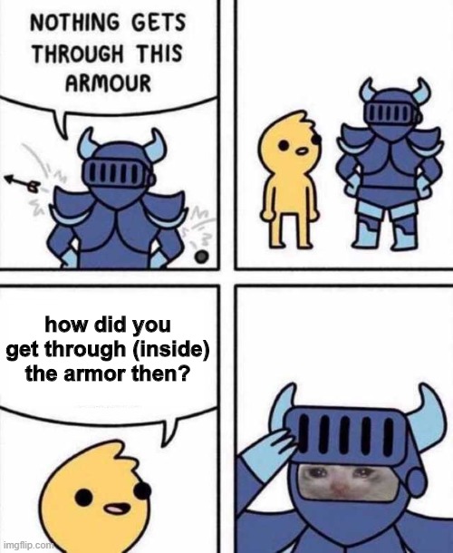 wait how did he go through his armor actually | how did you get through (inside) the armor then? | image tagged in nothing gets through this armour | made w/ Imgflip meme maker