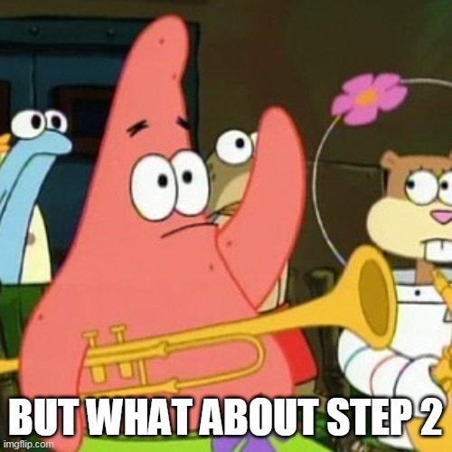 No Patrick | BUT WHAT ABOUT STEP 2 | image tagged in memes,no patrick | made w/ Imgflip meme maker
