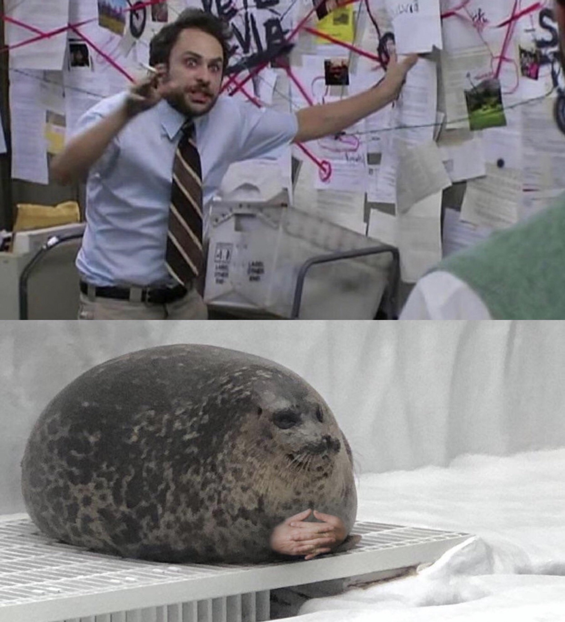 Seal Explanation Blank Meme Template