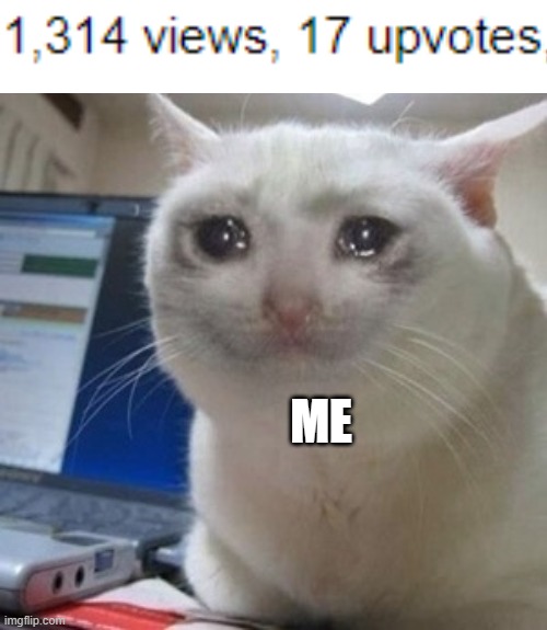 Crying cat | ME | image tagged in crying cat | made w/ Imgflip meme maker