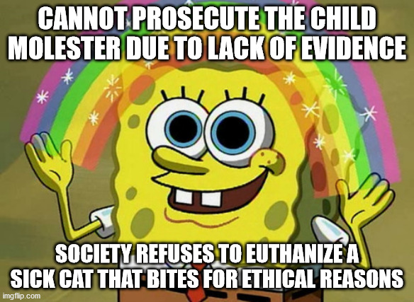 Imagination Spongebob Meme | CANNOT PROSECUTE THE CHILD MOLESTER DUE TO LACK OF EVIDENCE; SOCIETY REFUSES TO EUTHANIZE A SICK CAT THAT BITES FOR ETHICAL REASONS | image tagged in memes,imagination spongebob | made w/ Imgflip meme maker