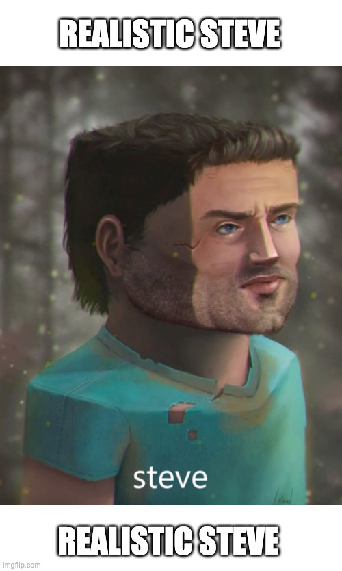 REALISTIC STEVE; REALISTIC STEVE | made w/ Imgflip meme maker