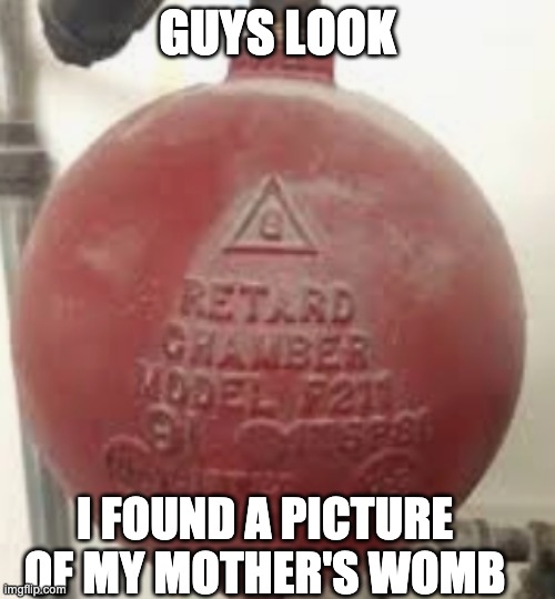 GUYS LOOK; I FOUND A PICTURE OF MY MOTHER'S WOMB | made w/ Imgflip meme maker