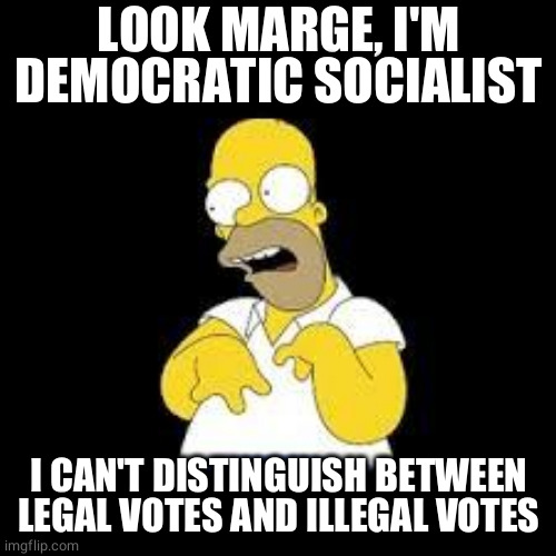 Leftism insanity | LOOK MARGE, I'M DEMOCRATIC SOCIALIST; I CAN'T DISTINGUISH BETWEEN LEGAL VOTES AND ILLEGAL VOTES | image tagged in look marge,memes,voter fraud,leftist,insanity,politics | made w/ Imgflip meme maker