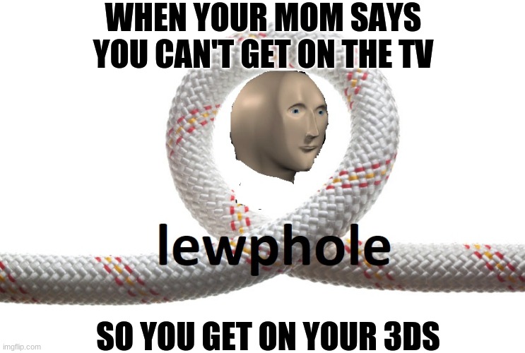 Meme Man Loophole | WHEN YOUR MOM SAYS YOU CAN'T GET ON THE TV; SO YOU GET ON YOUR 3DS | image tagged in meme man loophole | made w/ Imgflip meme maker