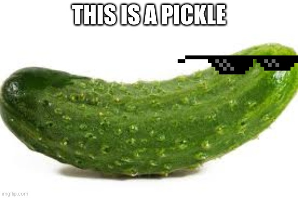 i wont gwt any upvotes im fine with that | THIS IS A PICKLE | image tagged in p i c k l e | made w/ Imgflip meme maker