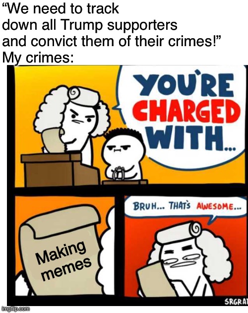Great | “We need to track down all Trump supporters and convict them of their crimes!”
My crimes:; Making memes | image tagged in blank white template,you're charged with | made w/ Imgflip meme maker