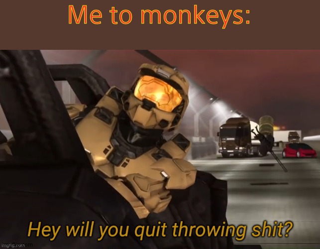 idek | Me to monkeys: | image tagged in hey will you quit throwing shit,rvb,monkeys,lilflamy,grif,memoriesofchurch | made w/ Imgflip meme maker